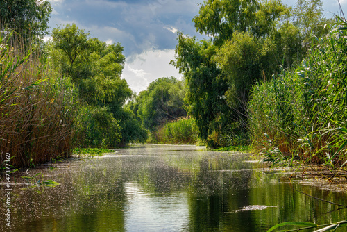 The swamps and wilderness of the Danube Delta in Romania