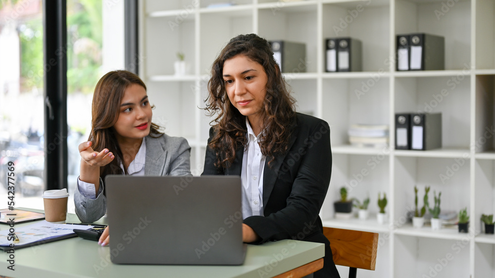 Professional caucasian businesswoman using laptop, discussing project with her assistant Professional caucasian businesswoman using laptop, discussing project with her assistant