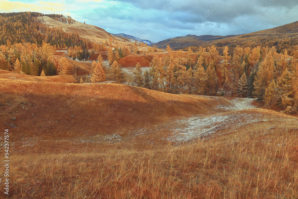 wallpaper autumn landscape mountain altai, freedom romantic trip