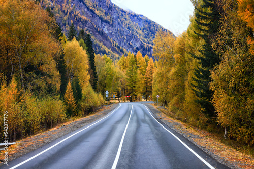 autumn highway view, freedom travel landscape © kichigin19