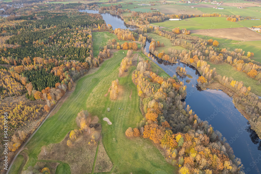 Aerial view on multicolored trees in autumn, and green grass, forest, wild nature, river, contrasts. Beautiful autumn in the village. Golf course. 