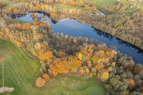 Aerial view on multicolored trees in autumn  and green grass  forest  wild nature  river  contrasts. Beautiful autumn in the village. Golf course. 