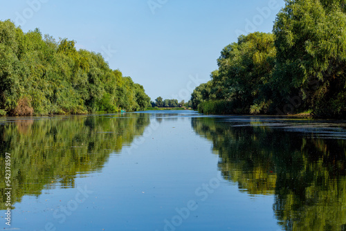 The swamps and wilderness of the Danube Delta in Romania