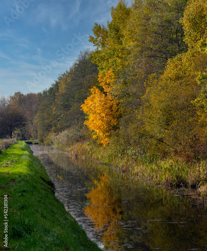 canal  colors  leaves  fall  netherlands  rheebruggen  uffelte  