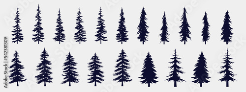 Pine and coniferous tree collection - Vector illustration collection of various silhouettes of  forest trees on white background
