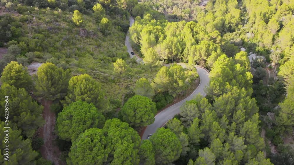 Cars driving on a winding road between trees in a canyon at Sa Calobra, Mallorca, Spain. Cars driving on a winding road between trees in a canyon at Sa Calobra, Mallorca, Spain.