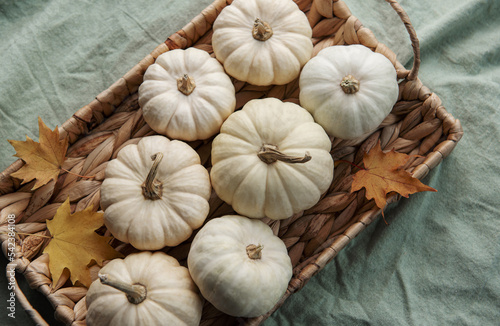 White pumpkins and autumn leaves on a wicker tray.