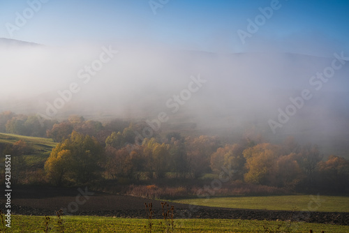 Fototapeta Naklejka Na Ścianę i Meble -  Foggy morning autumn landscape on the hills from Transylvania, Romania. Landscape from Harghita county, a beautiful Romanian place.