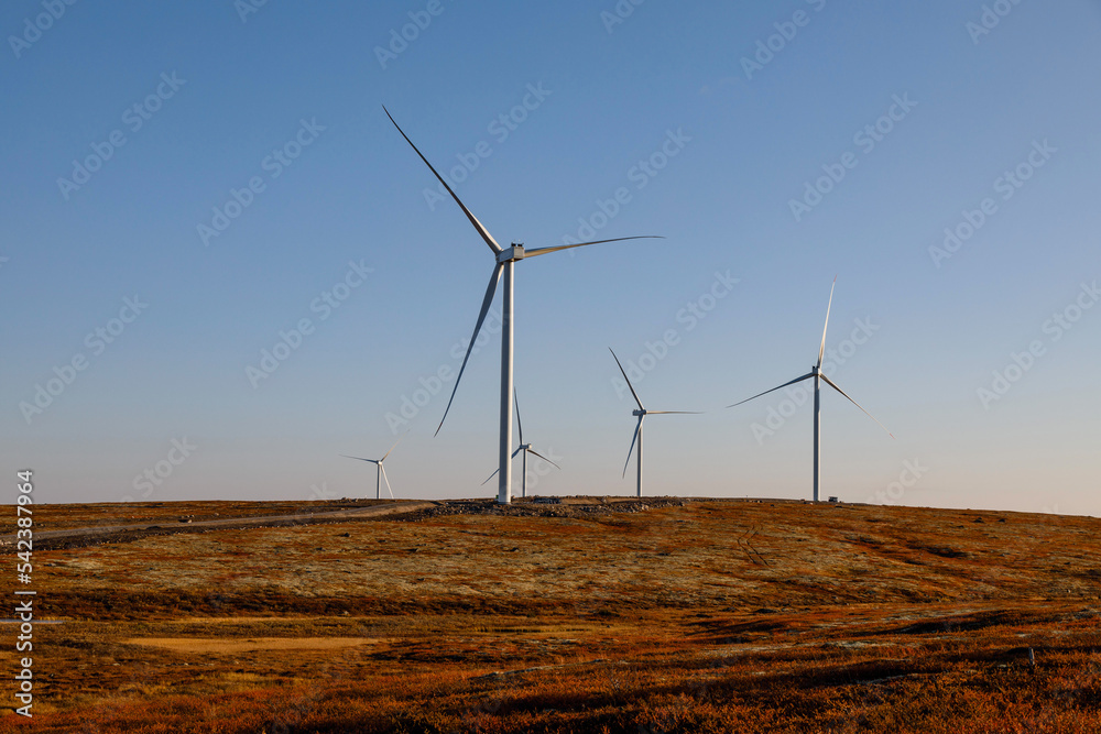 Fototapeta premium Panoramic view of a wind farm or wind farm with large wind turbines to generate electricity with copy space at sunset