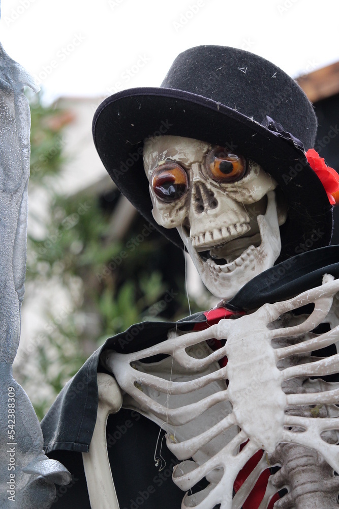 Fototapeta premium décor d'halloween