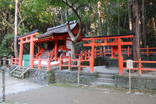 A Japanese shrine   Sarake-jinjya Shrine and Sanjyuhassho-jinjya Shrine in the precincts of Kasuga-taisha Shrine in Nara City in Nara prefecture                                                                                                              