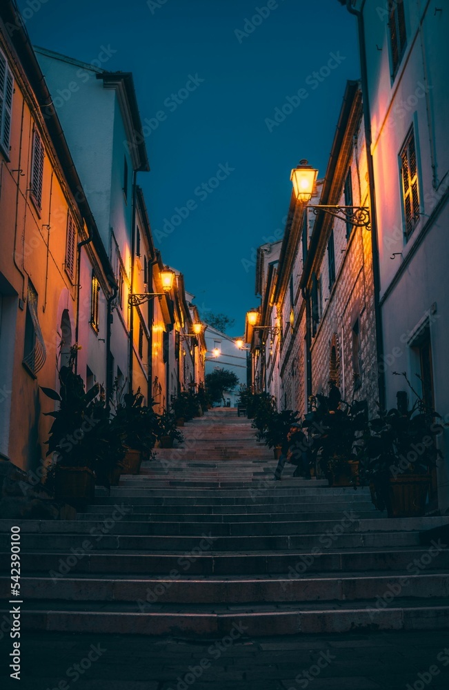 Vertical shot of street stairs surrounded by plants and illuminated by lamps of the buildings
