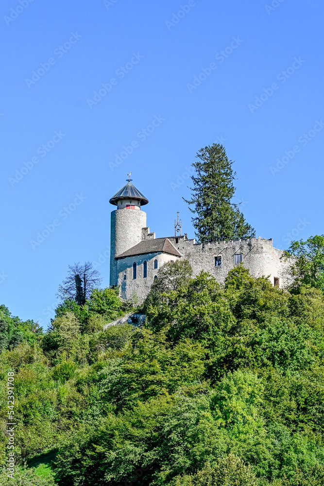 Arlesheim, Schloss Birseck, Birseck, Burg, Ruine, Ermitage, Dornach, Spazierweg, Wanderweg, Landwirtschaft, Baselland, Sommer, Schweiz