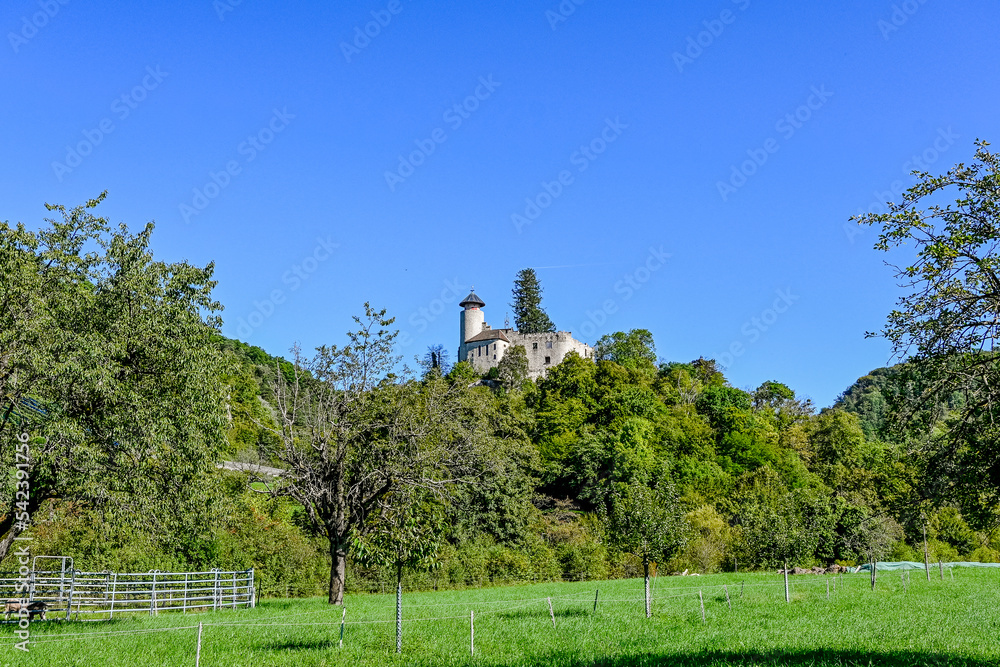 Arlesheim, Schloss Birseck, Birseck, Burg, Ruine, Ermitage, Dornach, Spazierweg, Wanderweg, Landwirtschaft, Baselland, Sommer, Schweiz