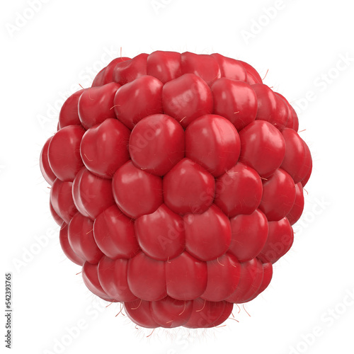 3d rendering illustration of a raspberry