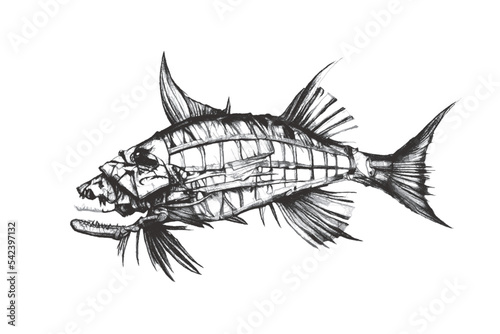 Fish skeleton. Fantastic Se...