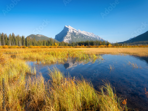 Vermilion lakes. Landscape during daylight hours. A lake in a river valley. Grass in the water. Fall view. Mountains and forest. Natural landscape. Banff National Park, Alberta, Canada.