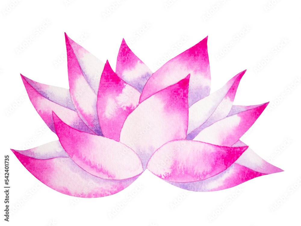 pink white color lotus flower nature plant blossom water lily chakra symbol logo icon reiki mind spiritual health healing holistic energy mandala watercolor painting art illustration design isolated pink white color lotus flower nature plant blossom water lily chakra symbol logo icon reiki mind spiritual health healing holistic energy mandala watercolor painting art illustration design isolated