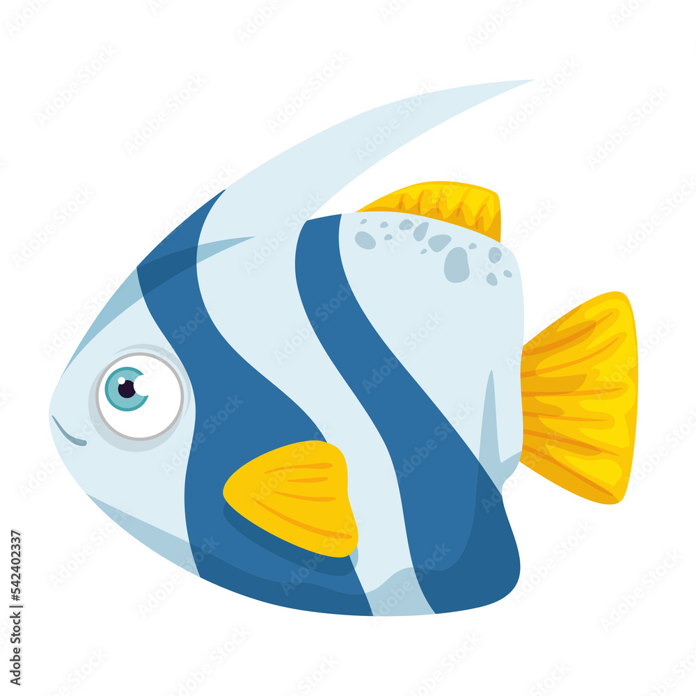 Angle Fish PNG Format With Transparent Background Angle Fish PNG Format With Transparent Background