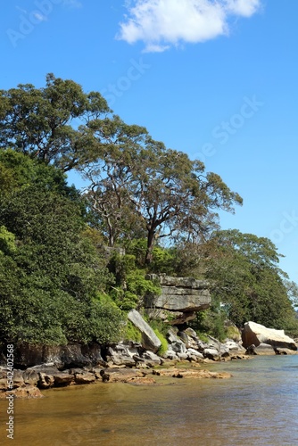 Closeup of scenery at Collins Beach, Manly New South Wales Australia photo