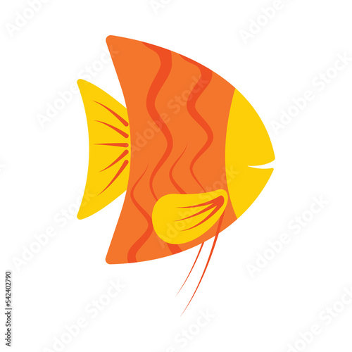 Angle Fish PNG Format With Transparent Background