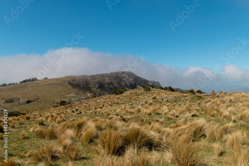 Grassy hill and blue sky at Port Hills  Christchurch  New Zealand.