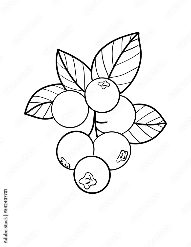 coloring-book-fruit-to-educate-kids-learn-colors-pages-fruits