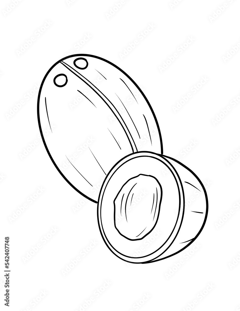 coloring-book-fruit-to-educate-kids-learn-colors-pages-fruits