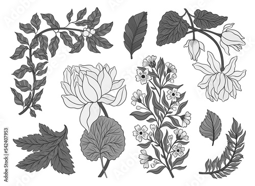 Collection flower outline hand drawn style. Asian national symbol lotus plant. Vintage sketch design.