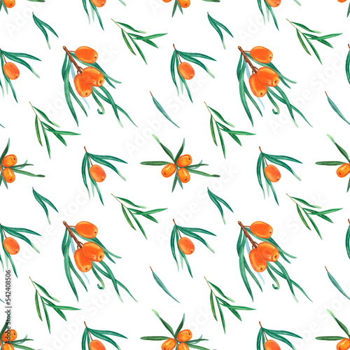 Natural organic sea buckthorn seamless pattern. Hand drawn watercolor on white background. Perfect for invitation, greeting cards and other design. Wild berries branches