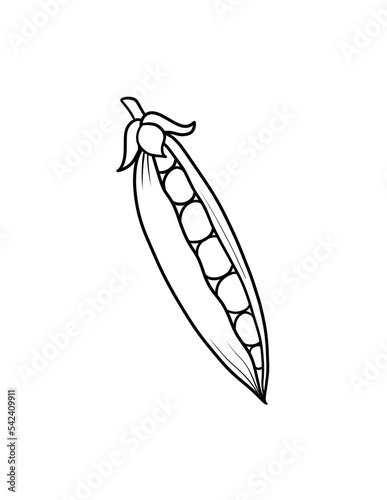 Coloring book vegetables to educate kids, Learn colors pages, Vegetables Coloring Pages for Kids, Vegetables Coloring Pages for Children, Coloring Book pages for Kids Ages 4-8 © Cecily Arts