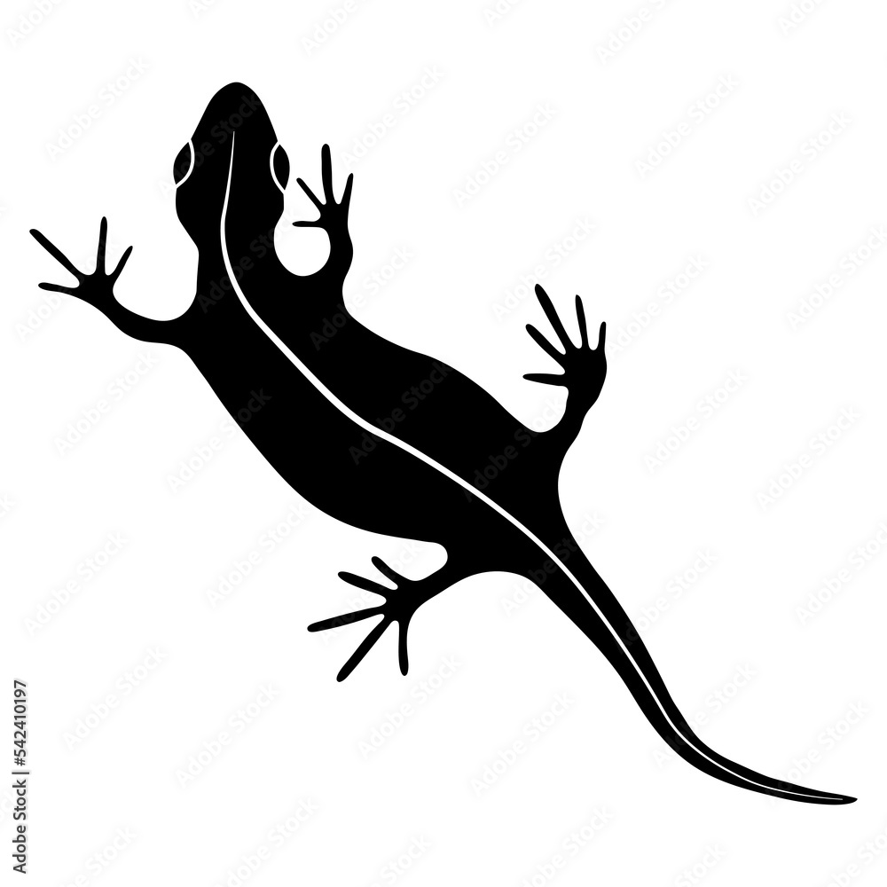 Lizard reptile gecko black silhouette vector illustration. Simple black silhouette illustration isolated on white background. Template for books, stickers, posters, cards, clothes. Lizard reptile gecko black silhouette vector illustration. Simple black silhouette illustration isolated on white background. Template for books, stickers, posters, cards, clothes.