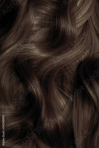 Brown hair close-up as a background. Women's long brown hair. Beautifully styled wavy shiny curls. Hair coloring. Hairdressing procedures, extension. © Vera