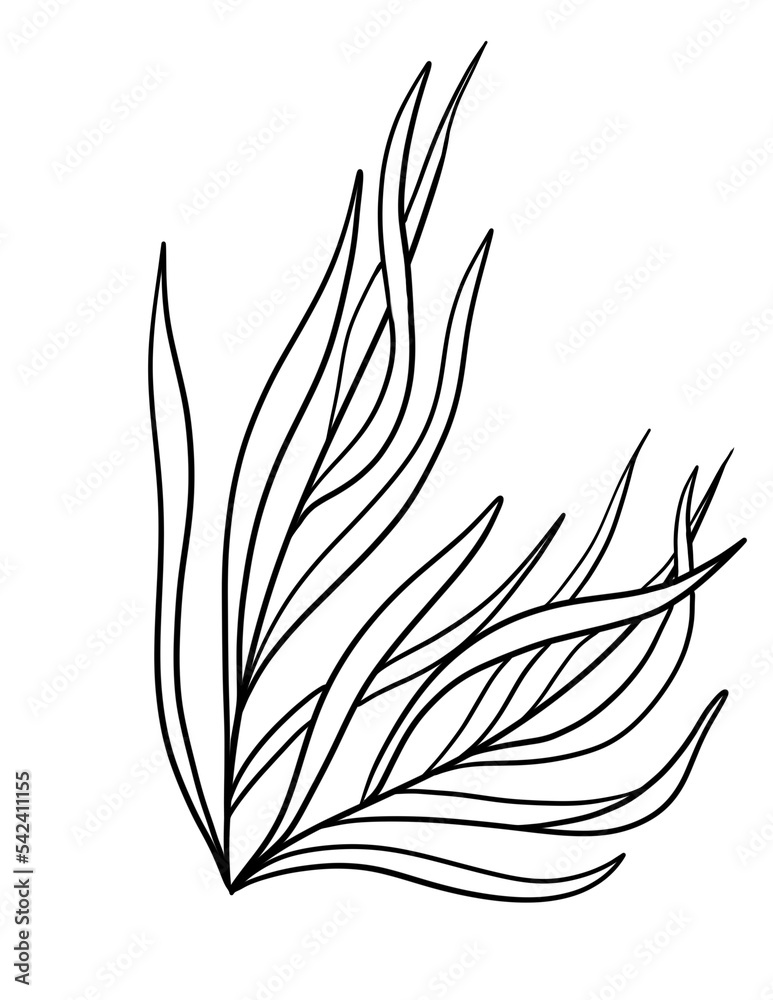 Coloring book to educate kids, Learn colors pages, Leaf Coloring Pages