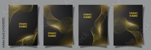 luxury gold cover with dark background, collection design vector