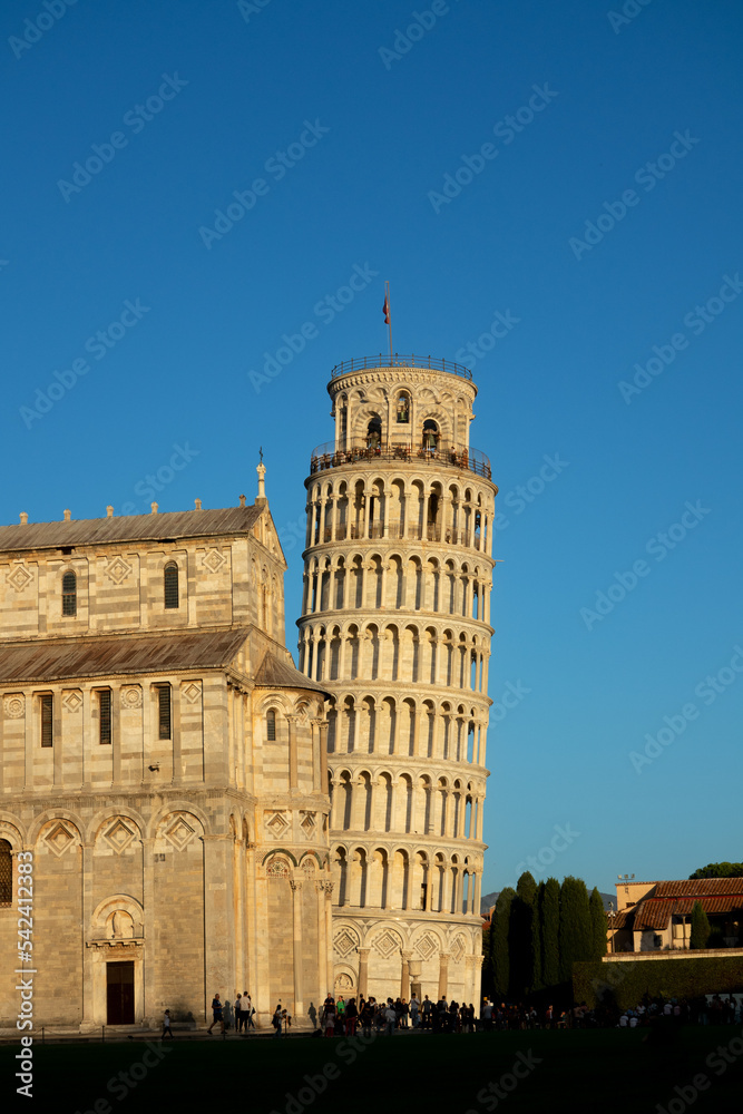 Pisa tower and cathedral sunset light colors against blue sky