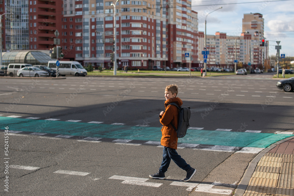 A student crosses the road at a pedestrian crossing