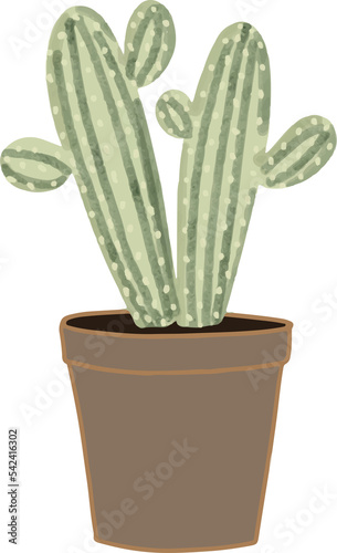 mini cactus in a pot