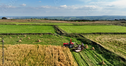 Vintage Tractor and Binder Combine Harvester cutting and stacking corn straw on a farm in Northern Ireland