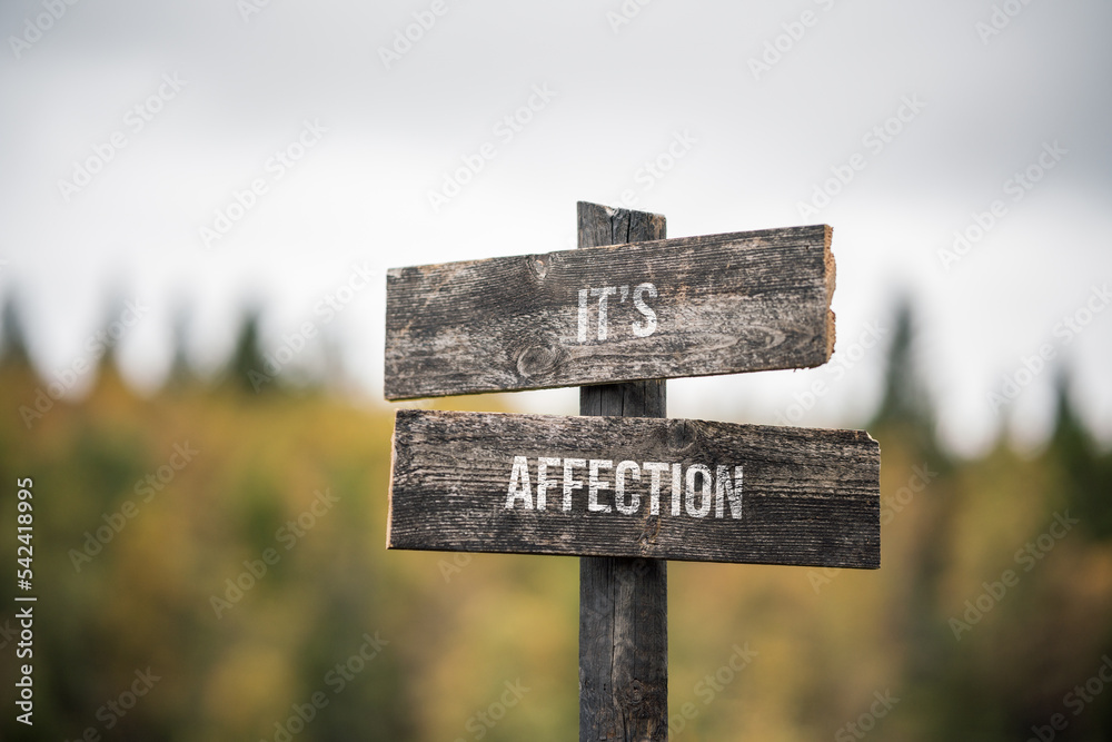 vintage and rustic wooden signpost with the weathered text quote its affection, outdoors in nature. blurred out forest fall colors in the background.
