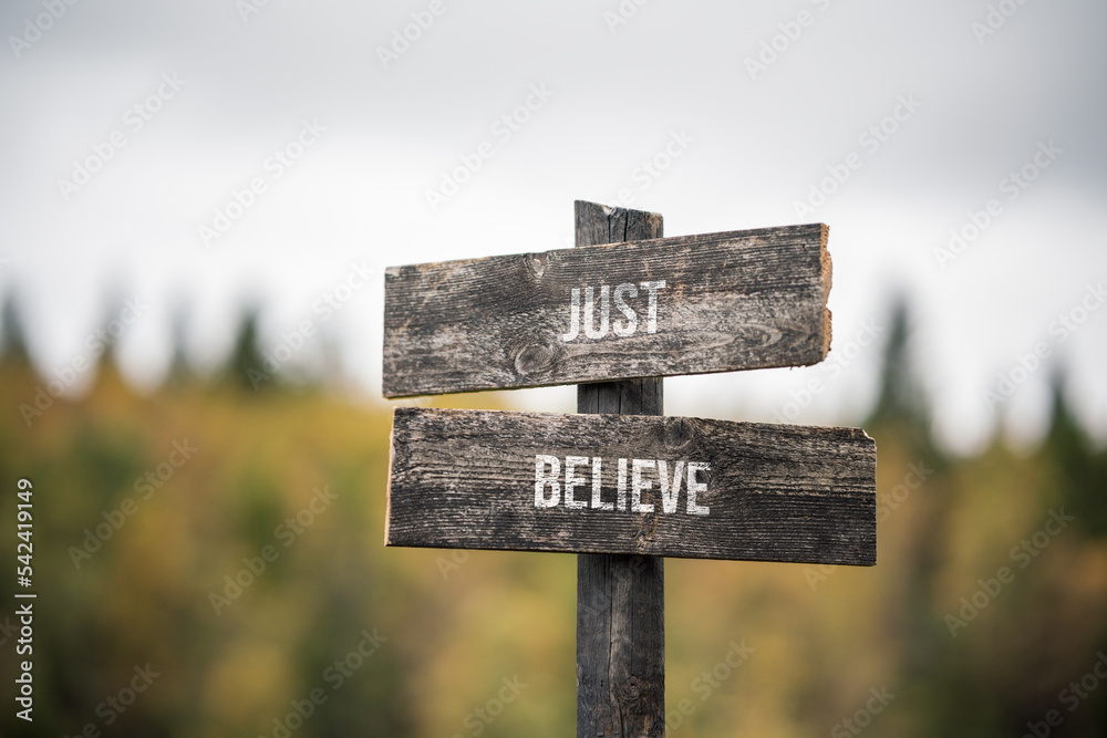 vintage and rustic wooden signpost with the weathered text quote just believe, outdoors in nature. blurred out forest fall colors in the background.