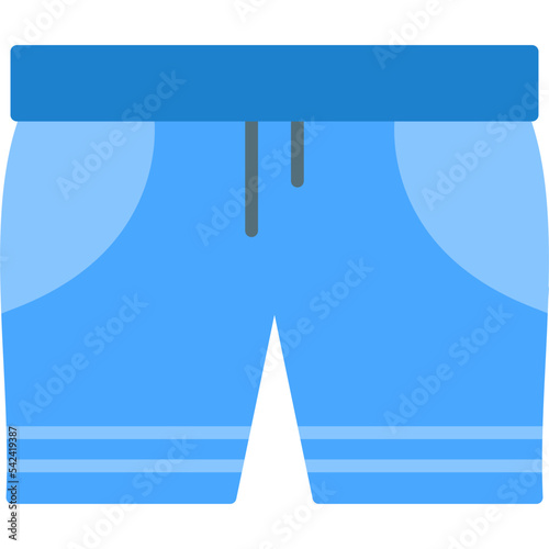 Swim Shorts Icon