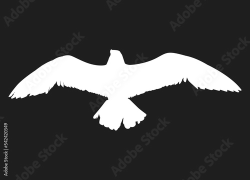 Flying bird of white silhouettes isolated on black background. Fit for logo  symbol  banner  bakcground  tattoo  apparel. Bird element vector. Eps 10