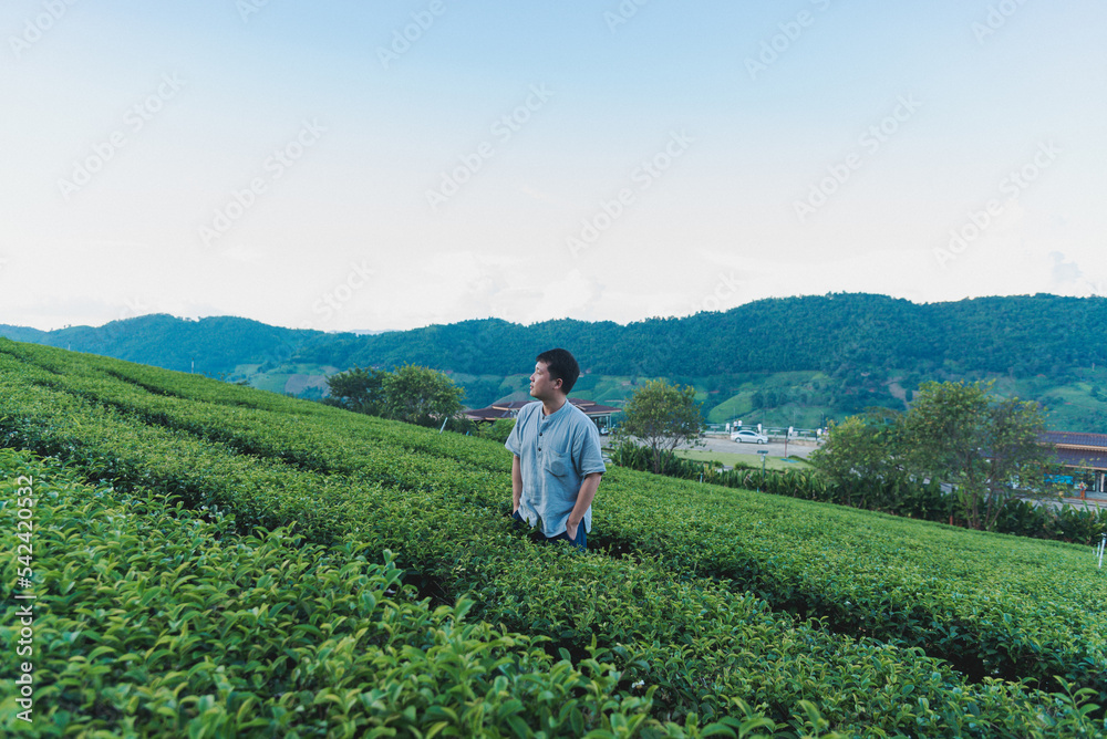 A Man stand alone at green tea plantation for relaxation on vacation