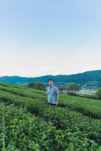 A Man stand alone at green tea plantation for relaxation on vacation