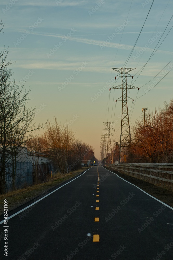 Vertical shot of a long road surrounded by trees Vertical shot of a long road surrounded by trees