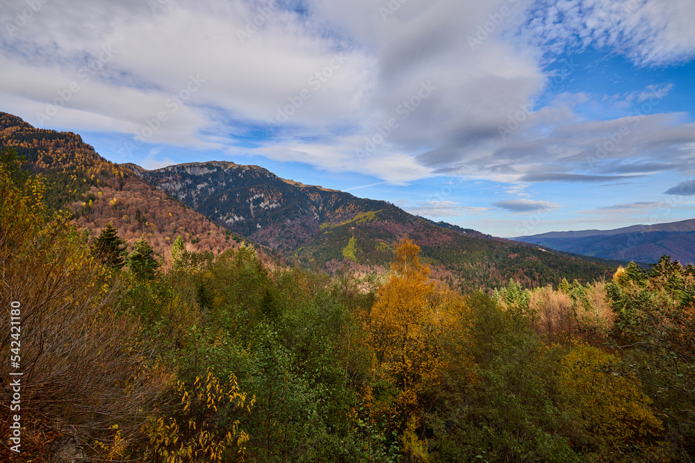 Beautiful mountain autumn landscape in Bucegi Mountains Romania