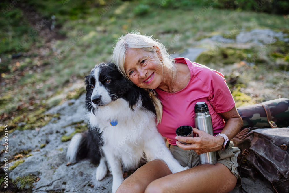 Senior woman having break during walking her dog in forest. Senior woman having break during walking her dog in forest.