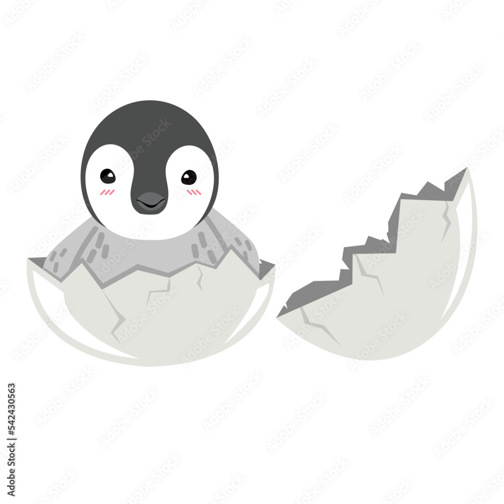 Cute penguin in egg vector cartoon Cute penguin in egg vector cartoon