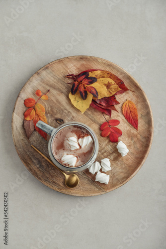 Cup of delicious hot cocoa with marshmallow and autumn colorful leaves